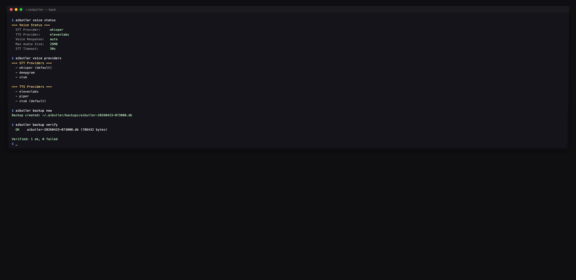 aibutler voice + backup commands